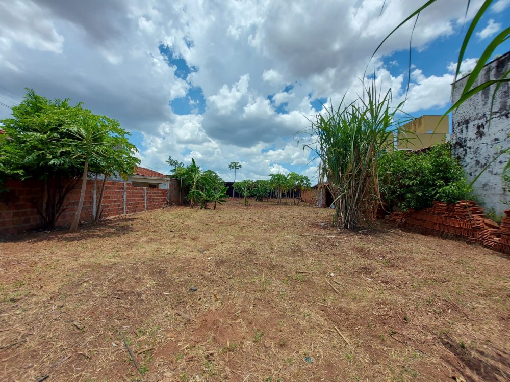 Terreno - Venda - Vila Anchieta - So Jos do Rio Preto - SP