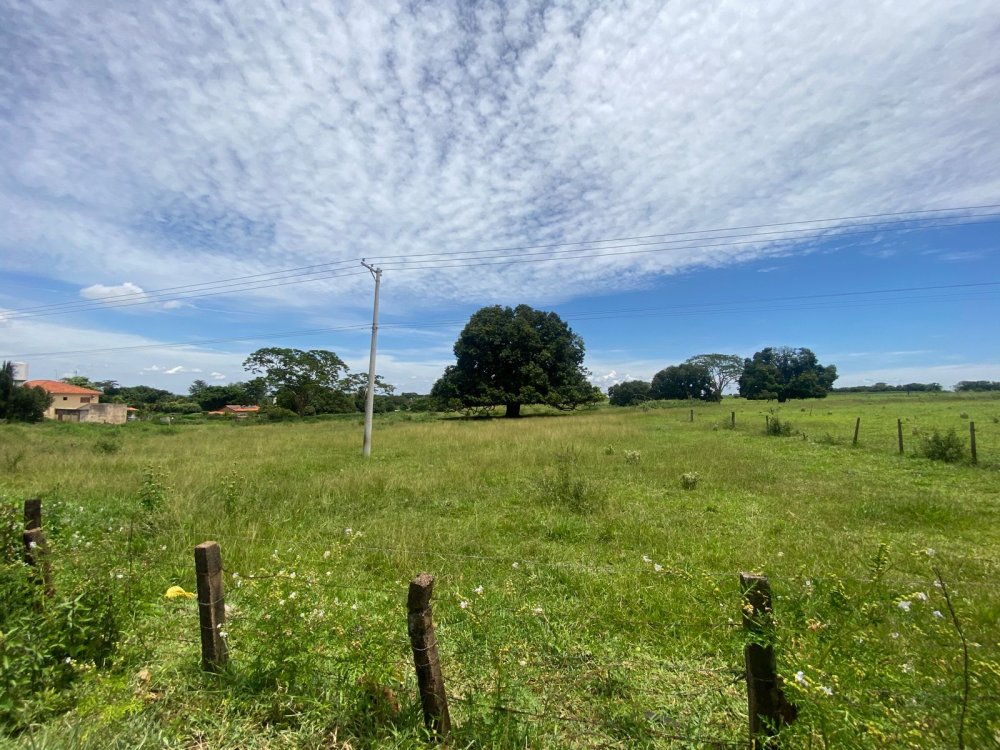 Área - Venda - Zona Rural - São José do Rio Preto - SP