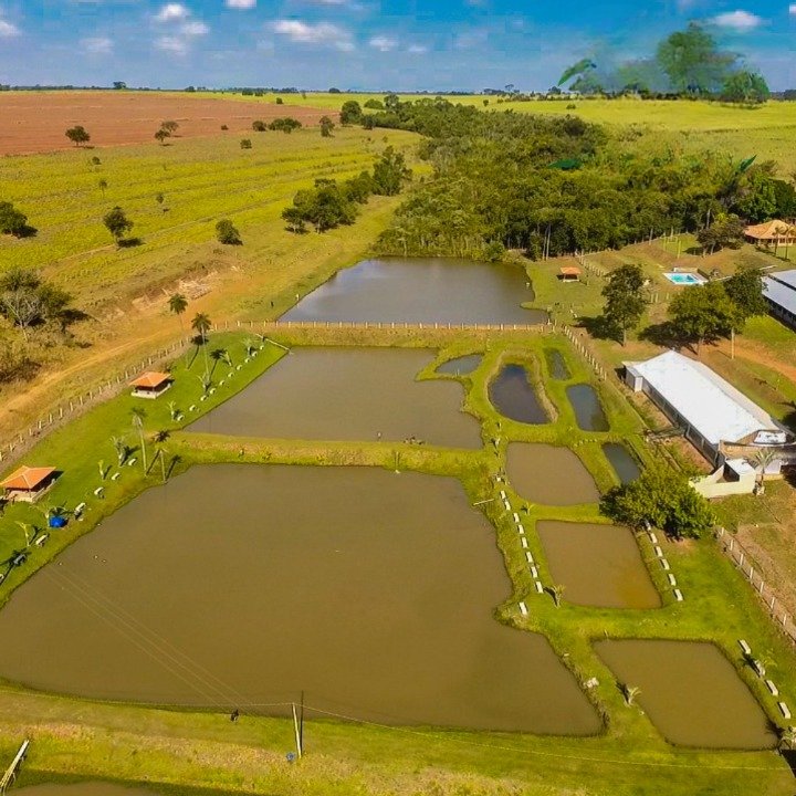 Stio - Venda - rea Rural de Mirassol - Mirassol - SP